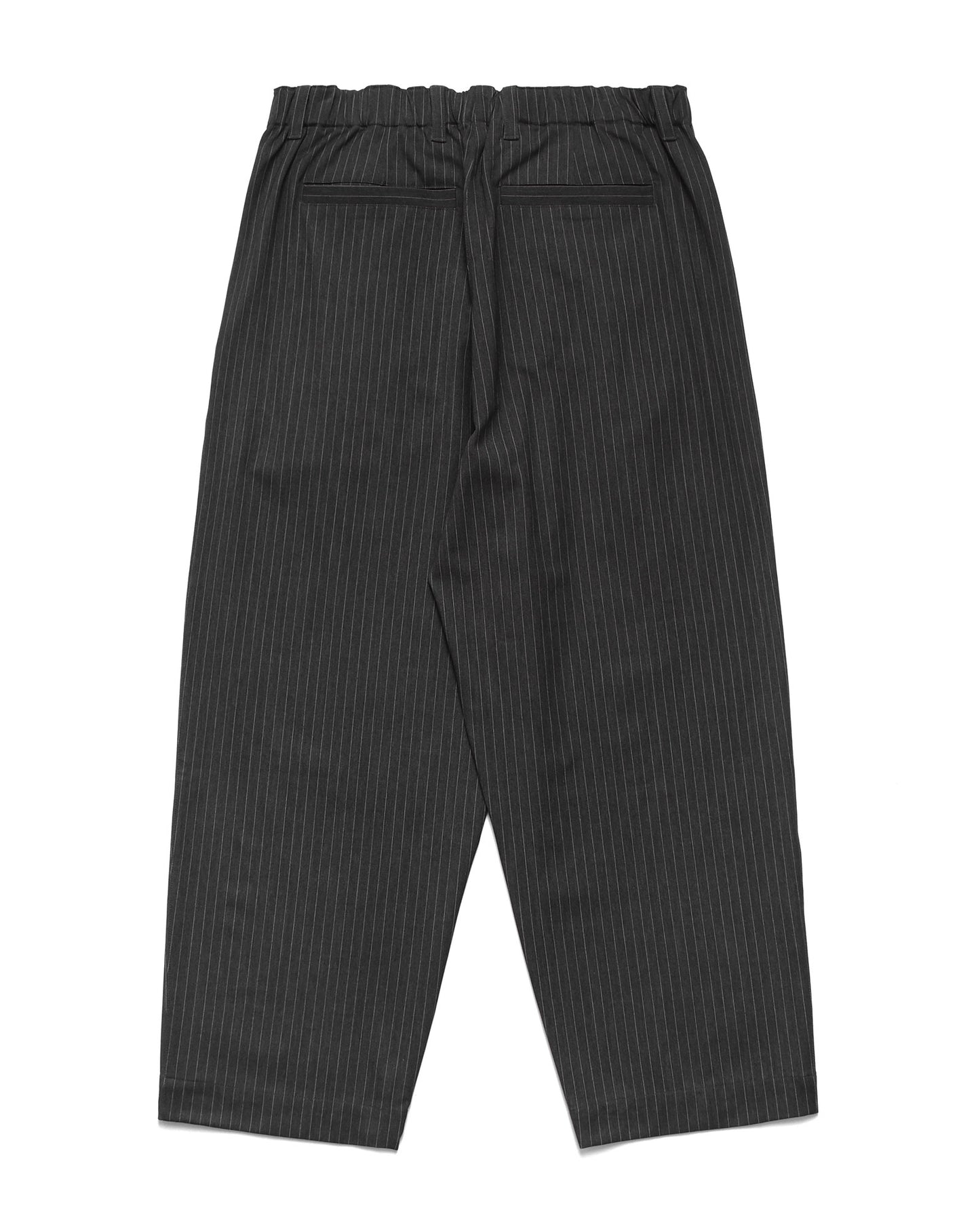 Elastic Waist Baggy Pant